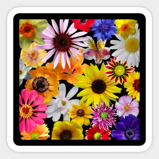 colorful blooms, flowers, flowery, daisies, sunflower, coneflower Sticker
